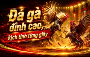 Giao diện Đá Gà treehousechiefs