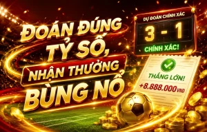 TreehouseChiefs Thể Thao
